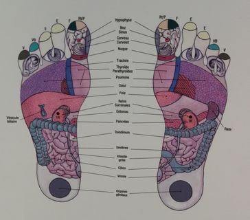 reflexologie